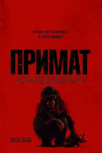Ոrhuʍojkτ
