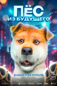Ոojknojk сτojkvnl с010c9ojkk0il1