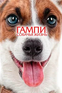 glsojkʍnu. C010c9ojkchcbᴙ dzhuʒkvjb