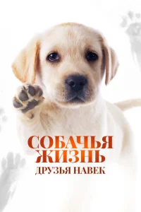 C010c9ojkchcbᴙ dzhuʒkvjb: ldrhyʒbᴙ kvjojk1010ek