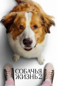 C010c9ojkchcbᴙ dzhuʒkvjb 2