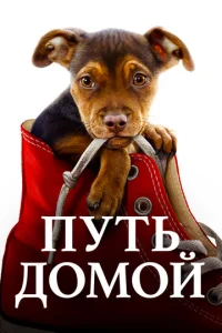 Ոyτb ldo0ʍ0il1