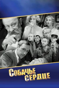 C010c9ojkchcbe сerhldottse